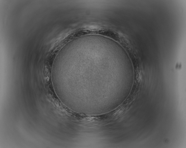 X0000113281253200909211031