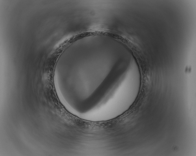 X0000113281254200909211031