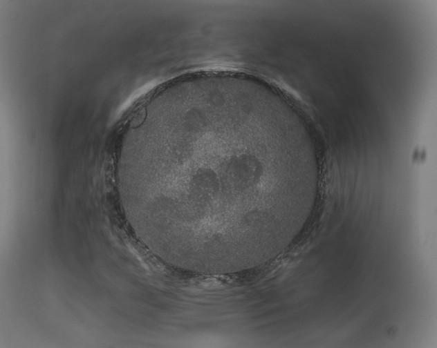 X0000113281255200909211031