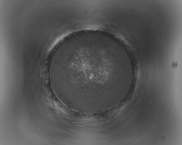 X0000113281256200909211031