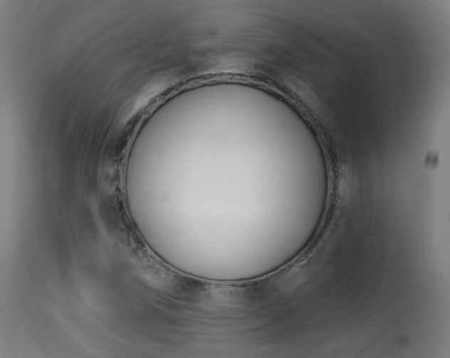 X0000113281258200909211031