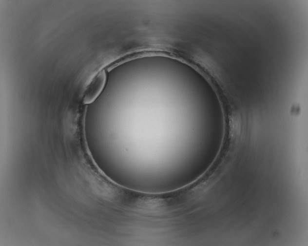 X0000113281260200909211031