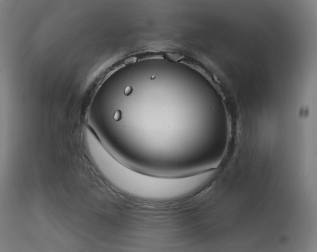 X0000113281261200909211031