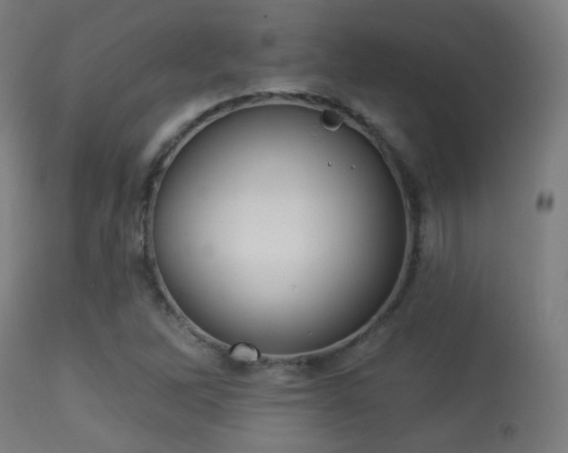 X0000113281262200909211031