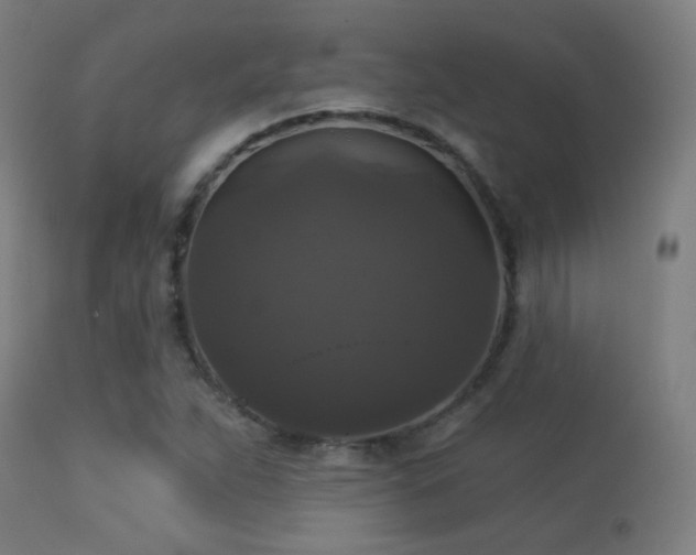 X0000113281263200909211031