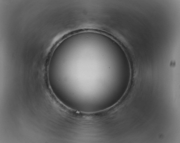 X0000113281264200909211031