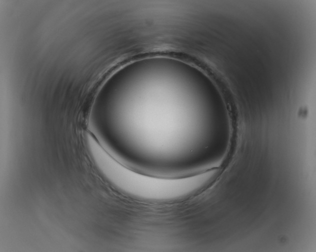 X0000113281265200909211031