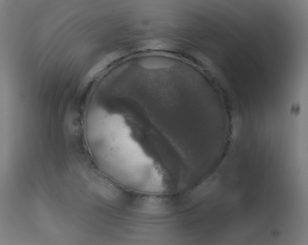 X0000113281266200909211031