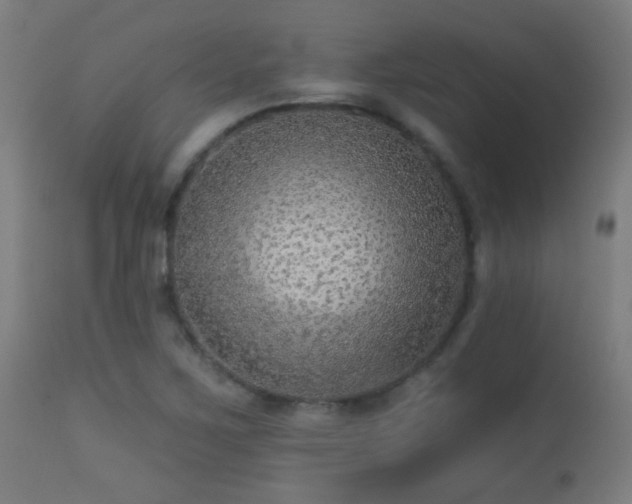 X0000113281267200909211031