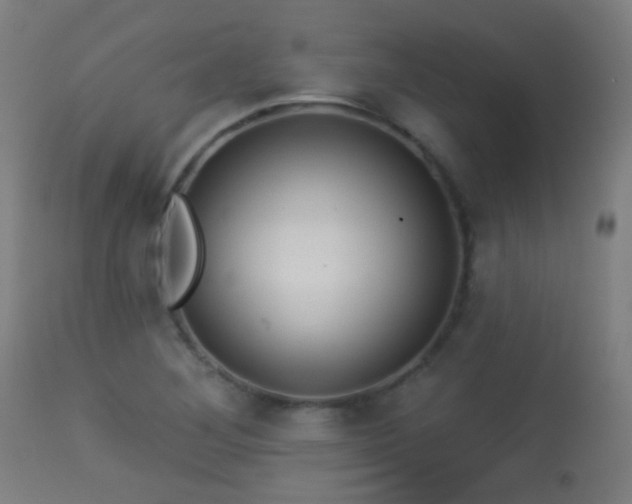 X0000113281268200909211031