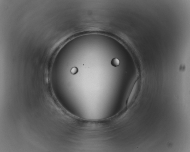 X0000113281269200909211031