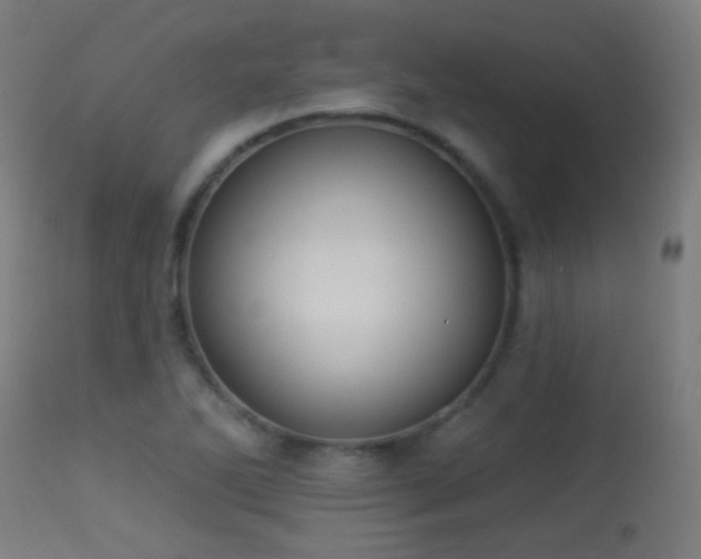 X0000113281270200909211031