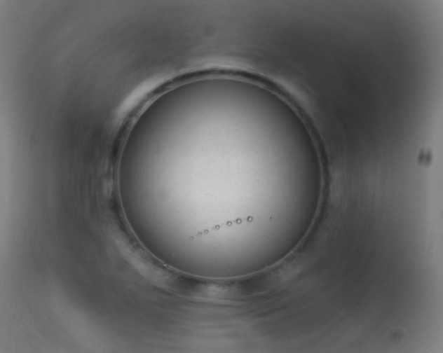 X0000113281271200909211031