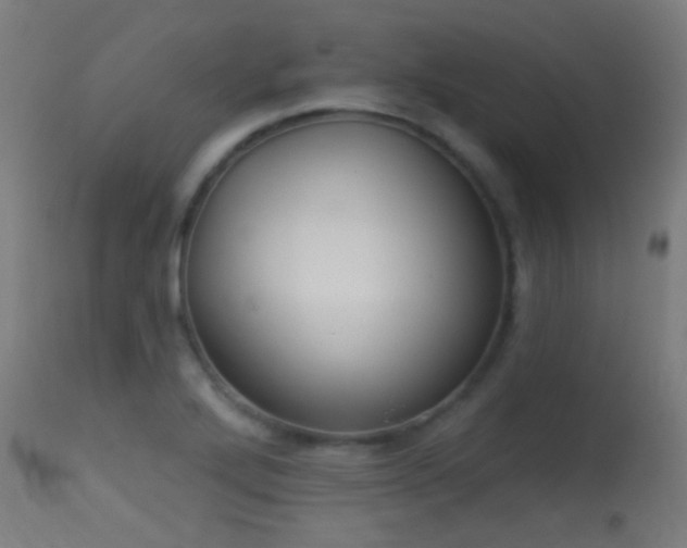 X0000113281272200909211031