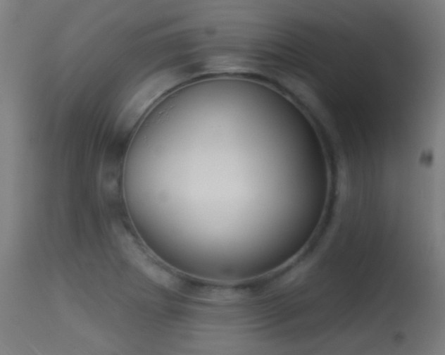 X0000113281273200909211031