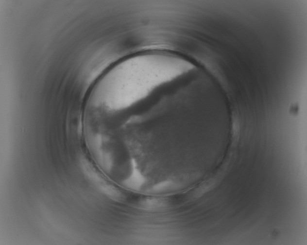 X0000113281274200909211031