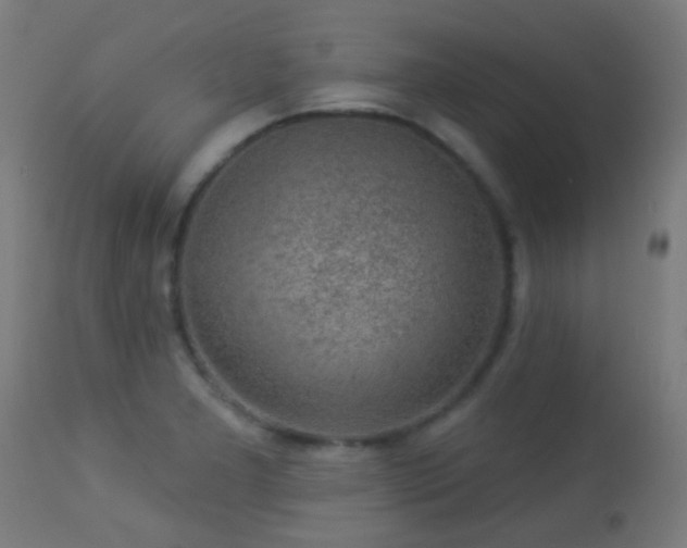 X0000113281277200909211031