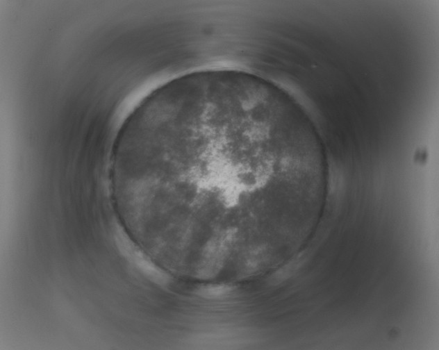 X0000113281278200909211031