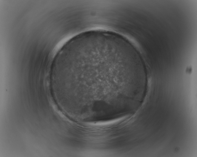 X0000113281279200909211031