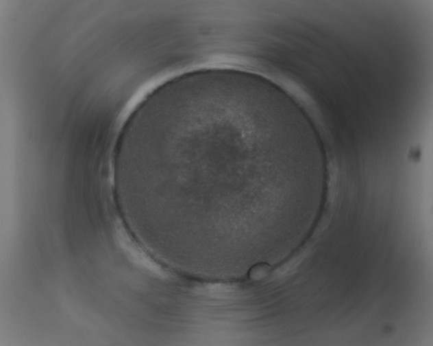 X0000113281280200909211031