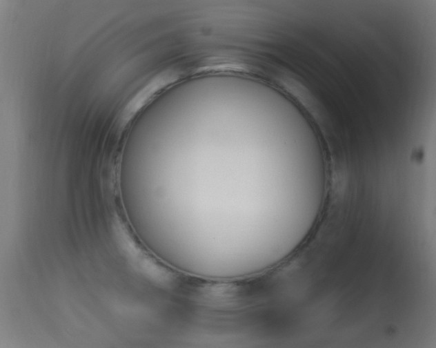 X0000113281282200909211031