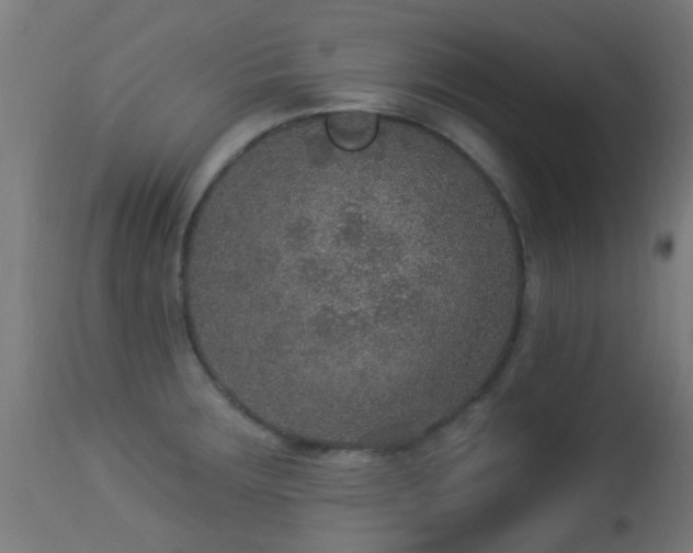 X0000113281283200909211031