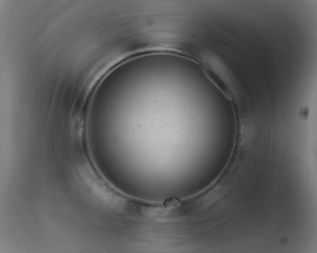 X0000113281284200909211031