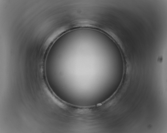 X0000113281285200909211031