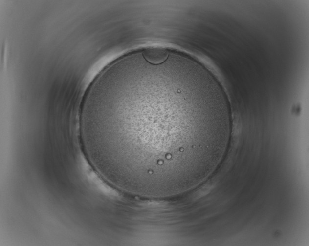 X0000113281287200909211031