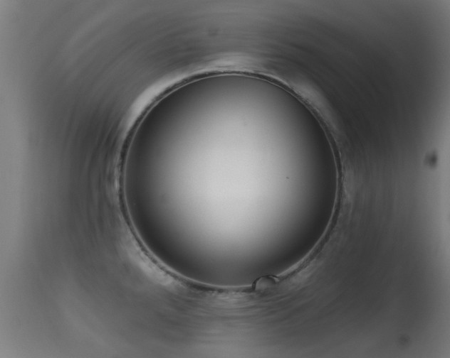 X0000113281288200909211031