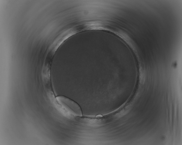 X0000113281289200909211031