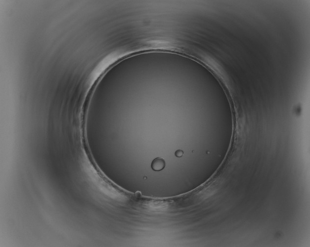 X0000113281291200909211031