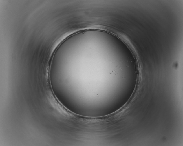 X0000113281292200909211031