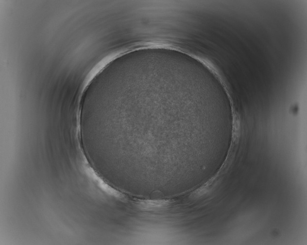 X0000113281294200909211031