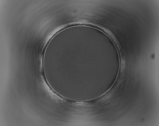 X0000113281295200909211031