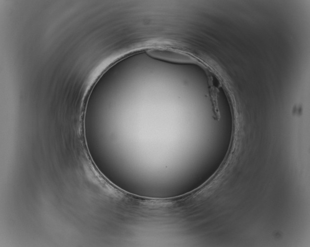 X0000113281296200909211031