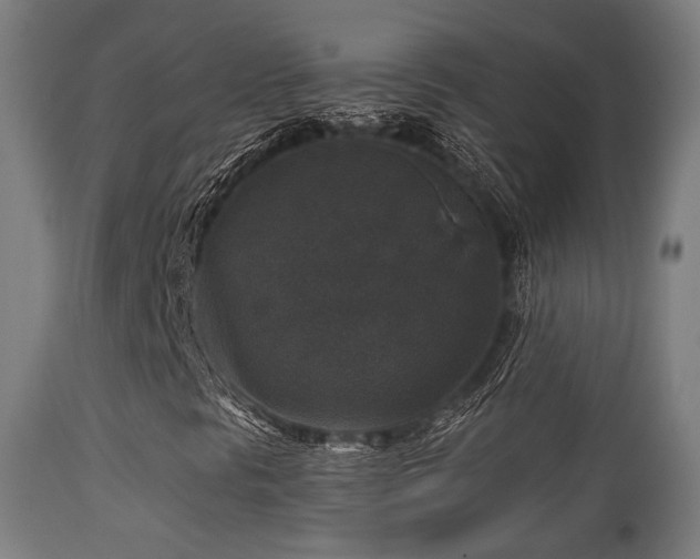 X0000113281297200909211030