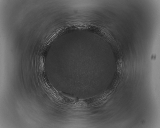 X0000113281298200909211030