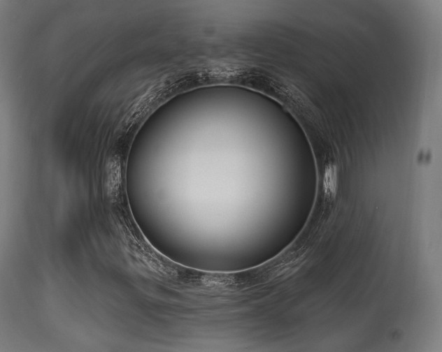 X0000113281299200909211030