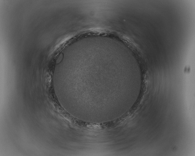 X0000113281302200909211030