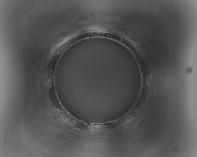 X0000113281303200909211030