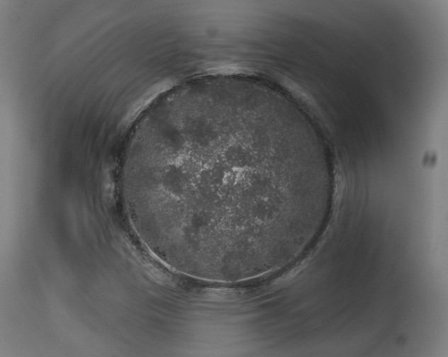 X0000113281305200909211030