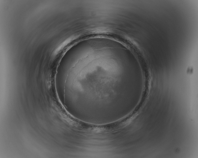 X0000113281306200909211030