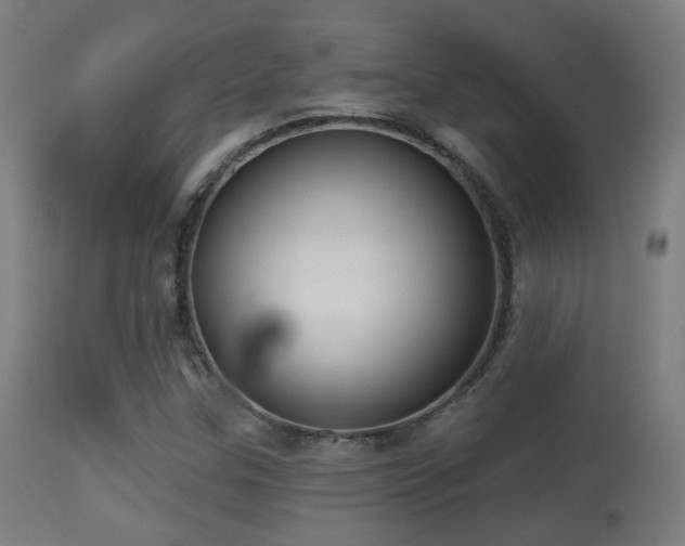 X0000113281307200909211030