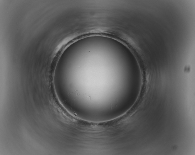 X0000113281308200909211030