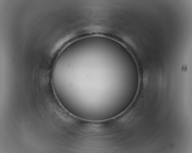 X0000113281309200909211030