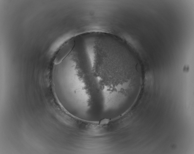 X0000113281310200909211030