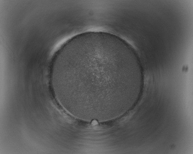 X0000113281311200909211030