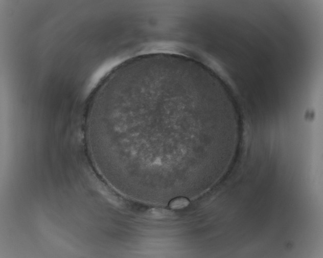 X0000113281312200909211030