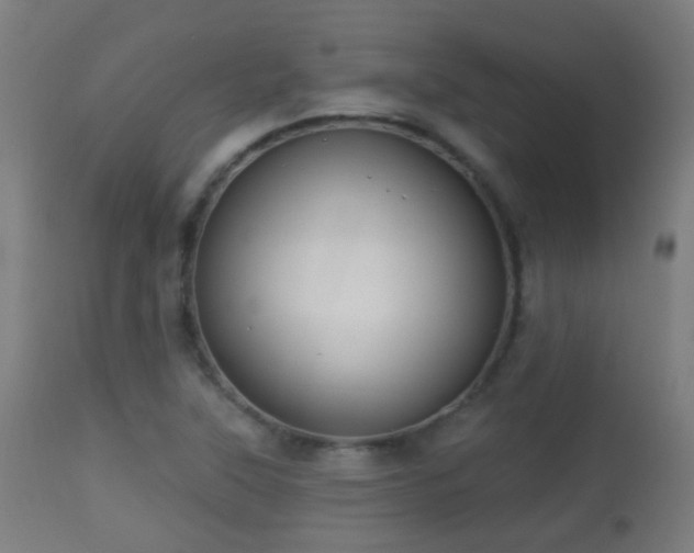 X0000113281315200909211030